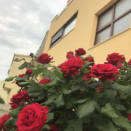 Apartman Mig Solin Zewnętrze zdjęcie