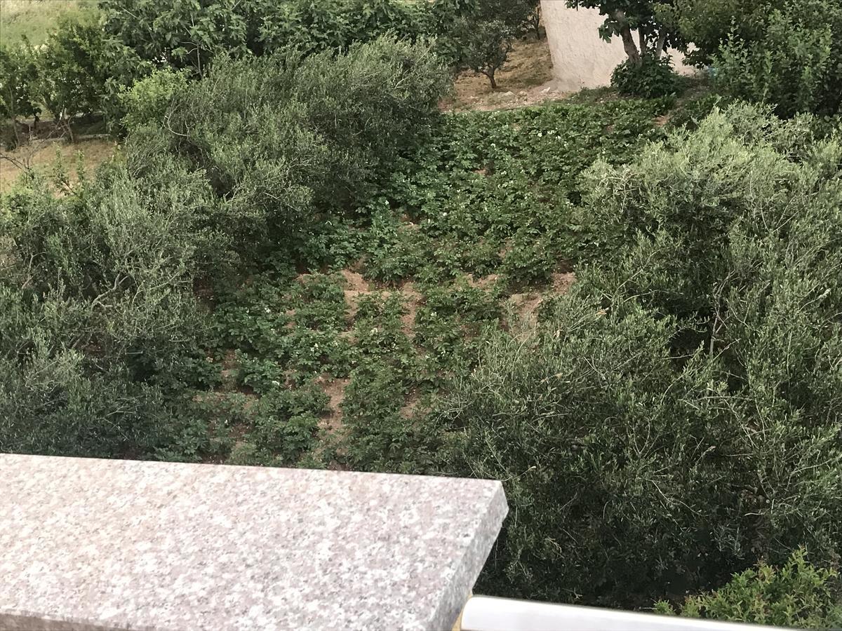 Apartman Mig Solin Zewnętrze zdjęcie